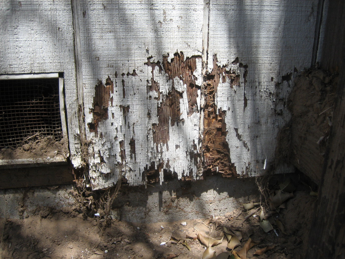 7 signs your Brisbane home may have termites
